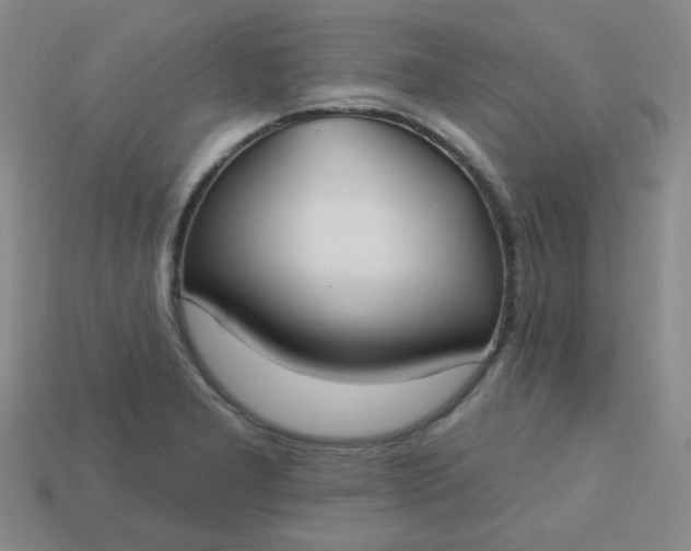 X0000113181277200909181846