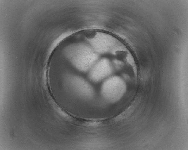 X0000113181278200909181846