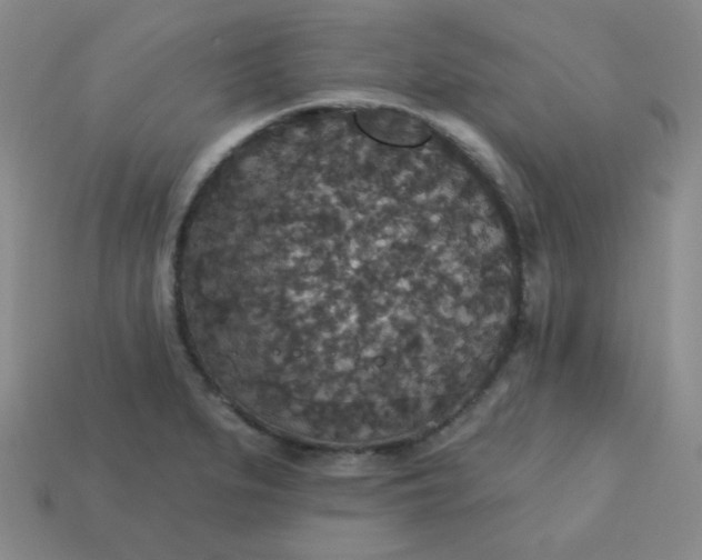 X0000113181279200909181846