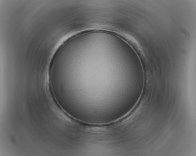 X0000113181280200909181846