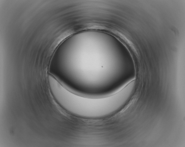 X0000113181281200909181846