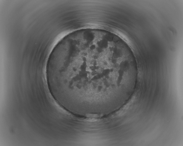 X0000113181283200909181846