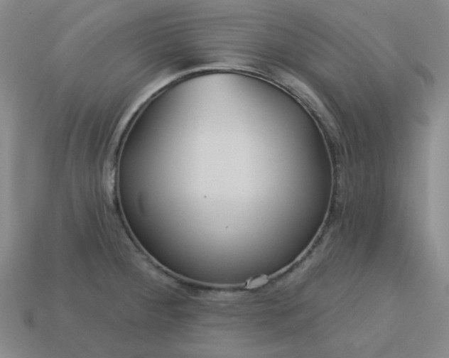 X0000113181284200909181846