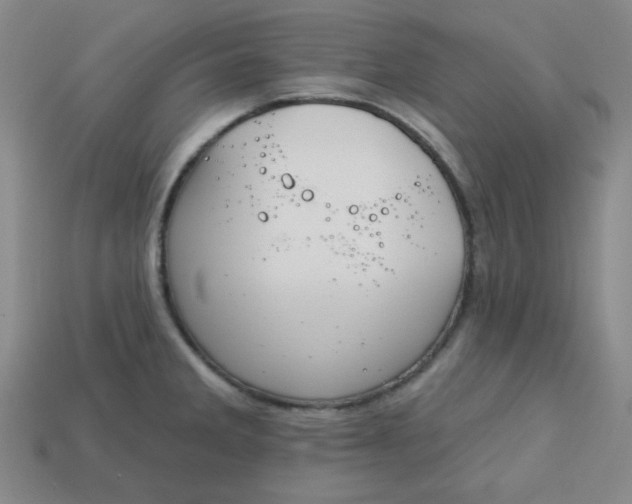 X0000113181285200909181846