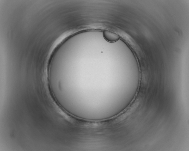 X0000113181286200909181845