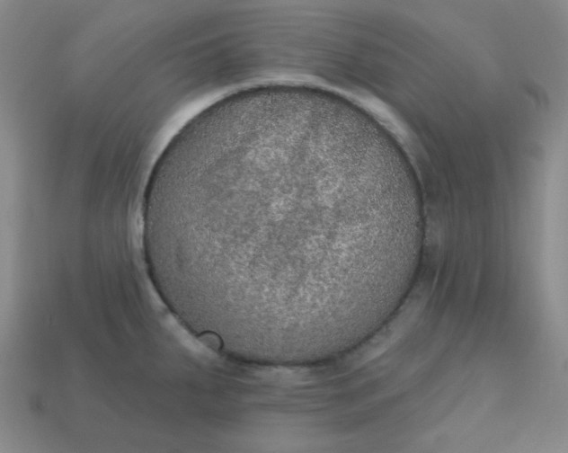 X0000113181287200909181845