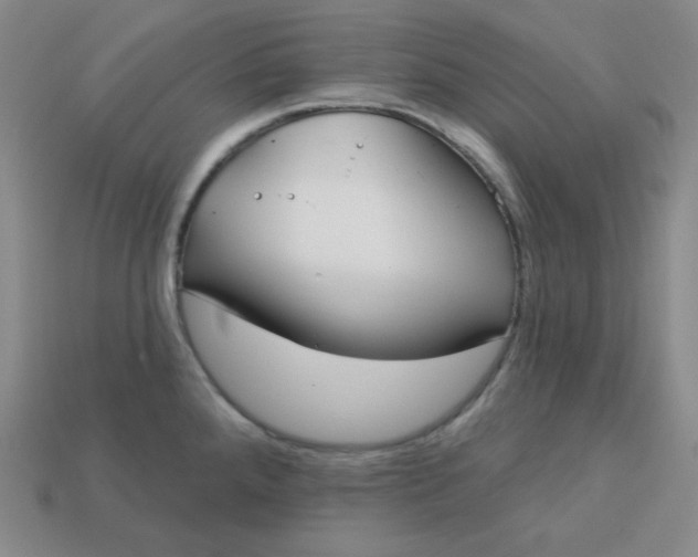 X0000113181288200909181845