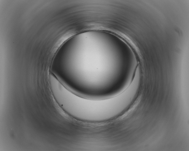 X0000113181289200909181845