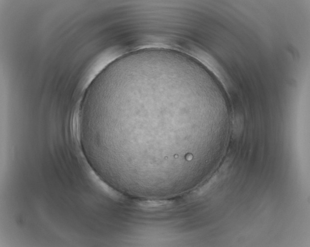 X0000113181290200909181845