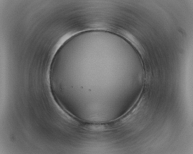 X0000113181291200909181845