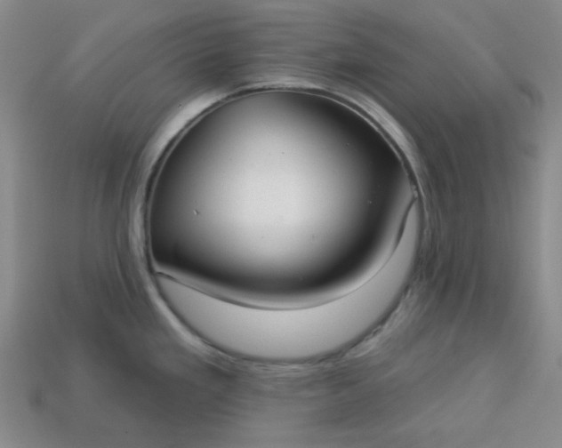 X0000113181293200909181845