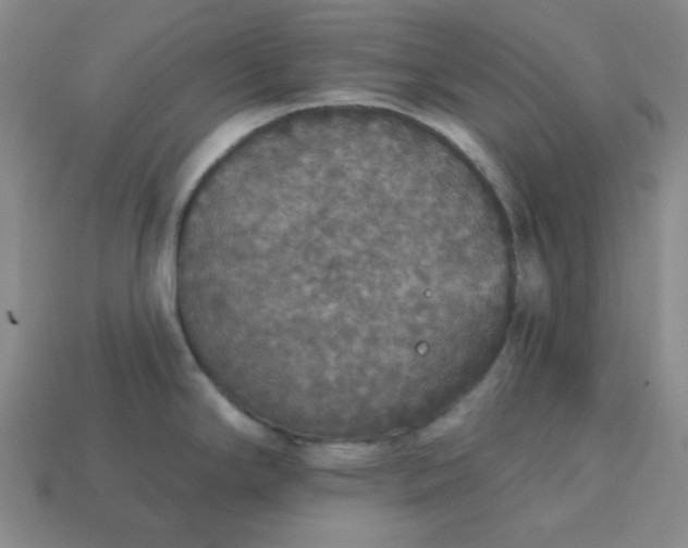 X0000113181294200909181845