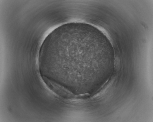 X0000113181295200909181845