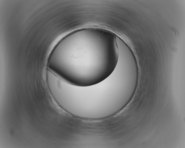 X0000113181296200909181845