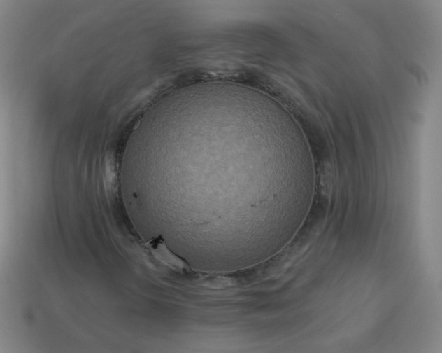 X0000113181298200909181845