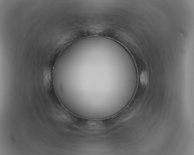 X0000113181299200909181845