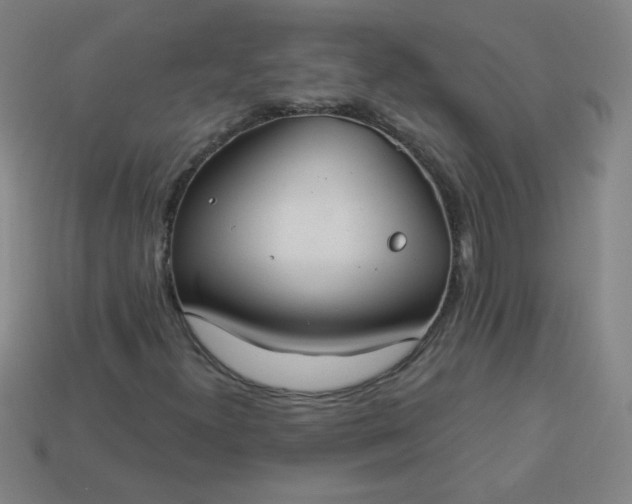 X0000113181300200909181845