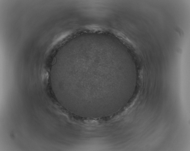 X0000113181302200909181845