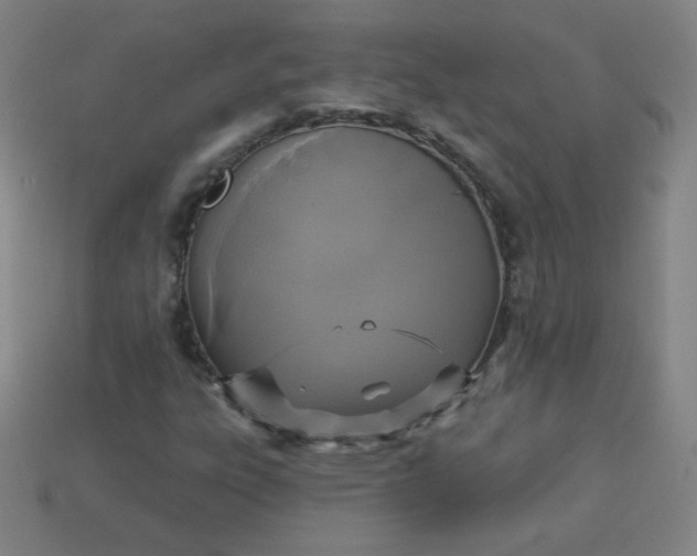 X0000113181303200909181845