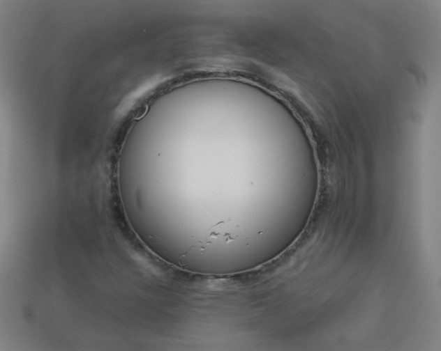 X0000113181304200909181845