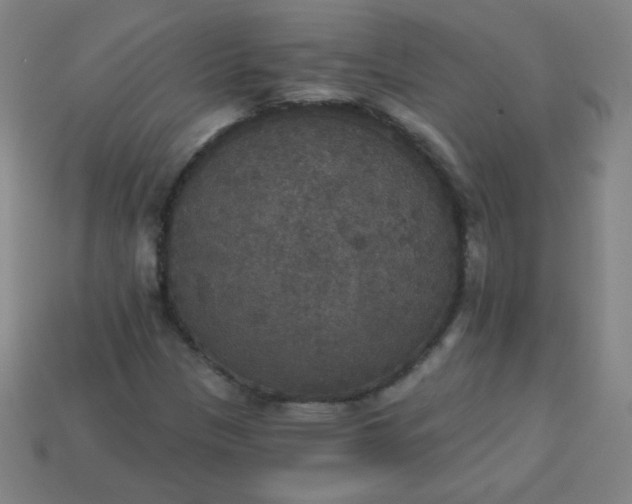 X0000113181305200909181845