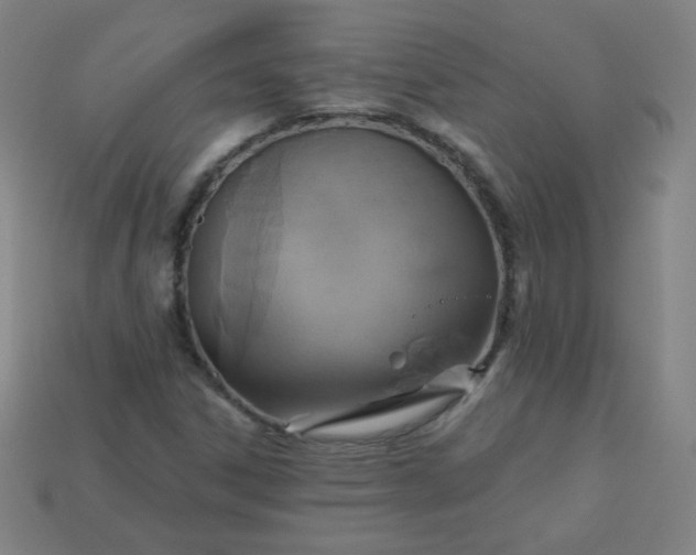 X0000113181306200909181845