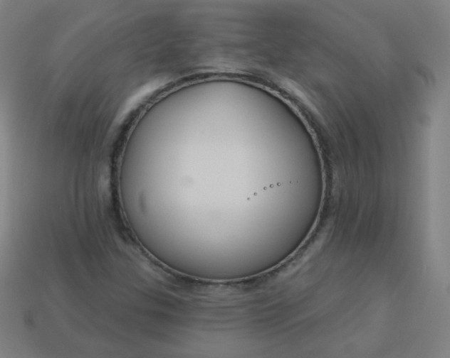 X0000113181307200909181845