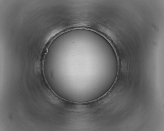 X0000113181308200909181845