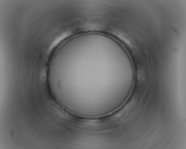 X0000113181309200909181845