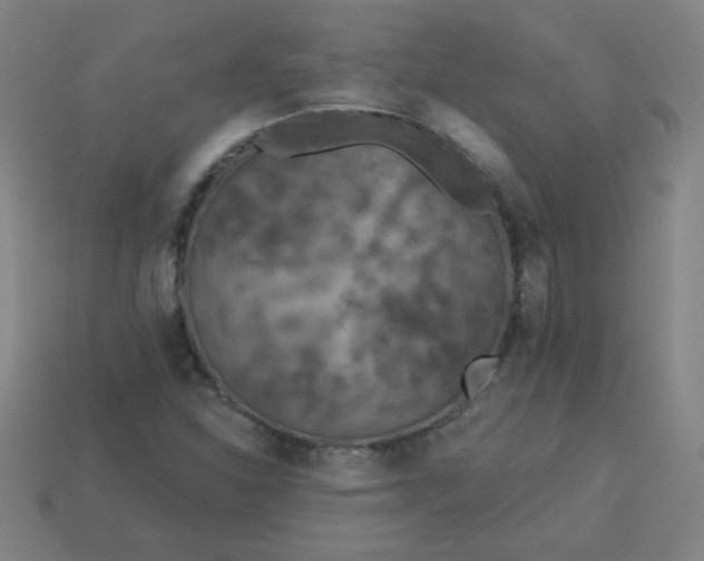 X0000113181310200909181845