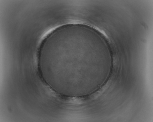 X0000113181311200909181845