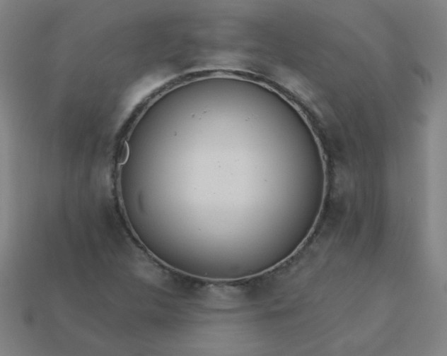 X0000113181312200909181845