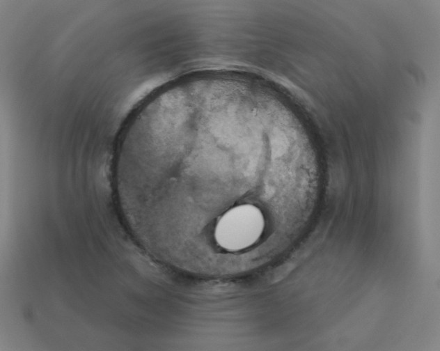 X0000113181314200909181845