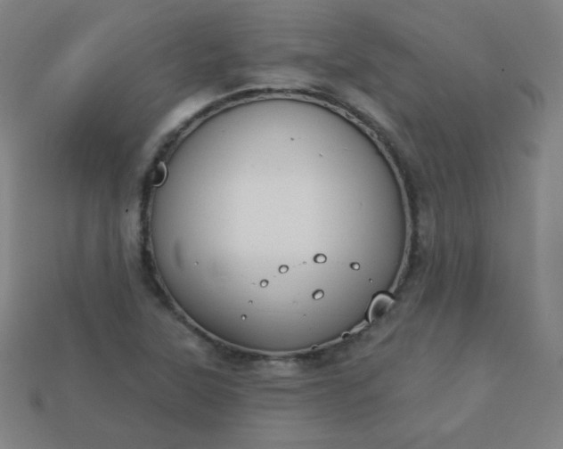 X0000113181315200909181845