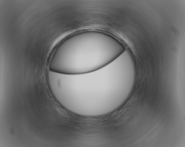 X0000113181316200909181845