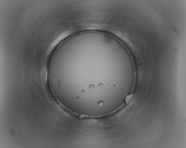 X0000113181317200909181845