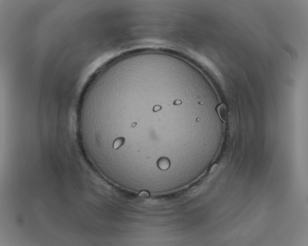 X0000113181318200909181845