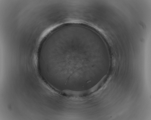 X0000113181319200909181845