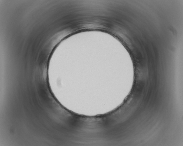 X0000113181322200909181845