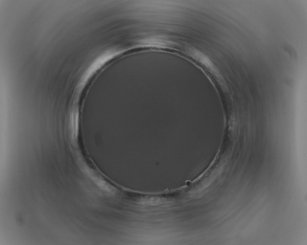 X0000113181323200909181845