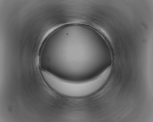 X0000113181324200909181845