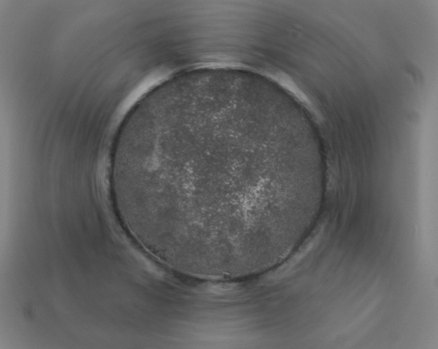 X0000113181325200909181845