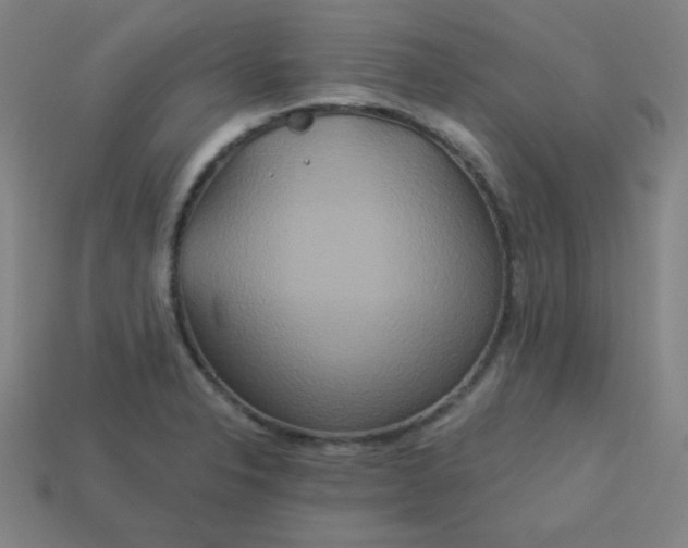 X0000113181326200909181845