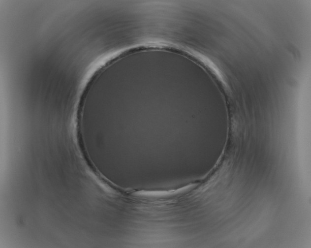 X0000113181327200909181845