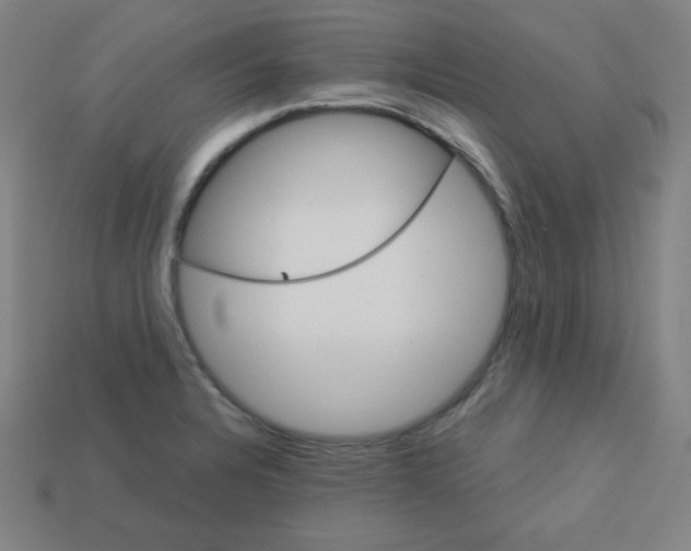 X0000113181328200909181845