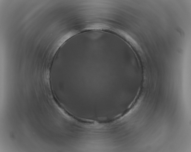 X0000113181329200909181845