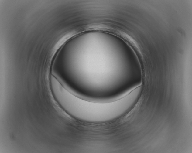 X0000113181330200909181845