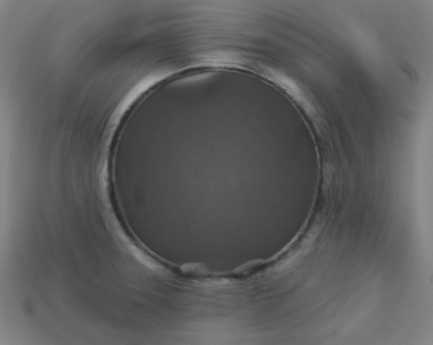 X0000113181331200909181845