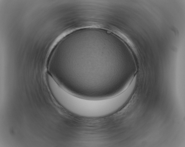 X0000113181332200909181845