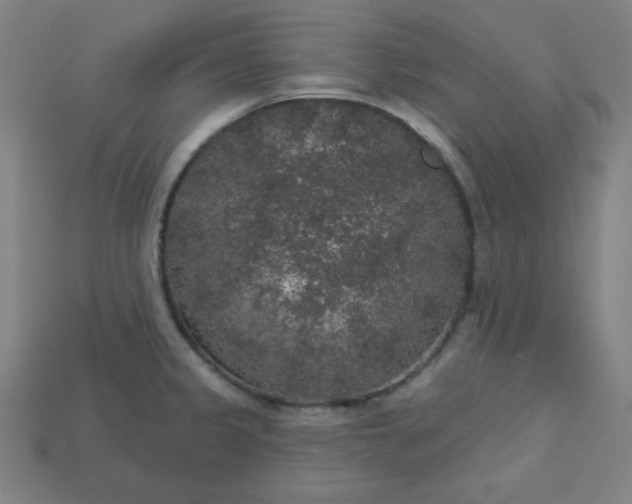 X0000113181333200909181845